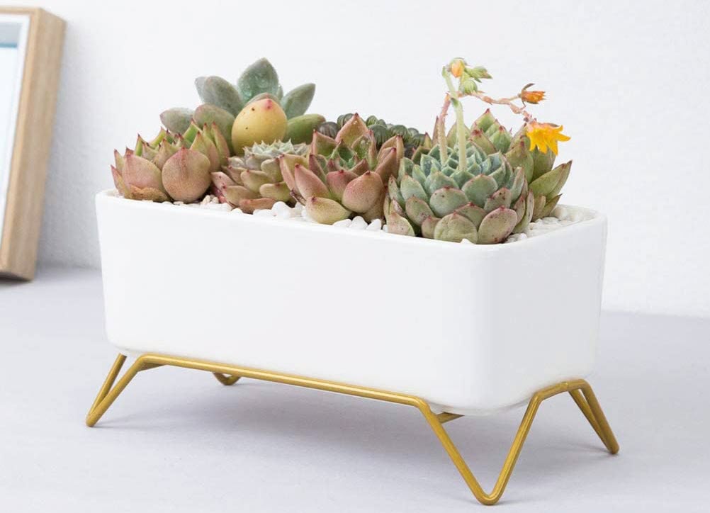 Flower Pot